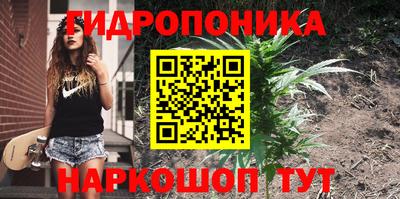 эйфоретик Партизанск