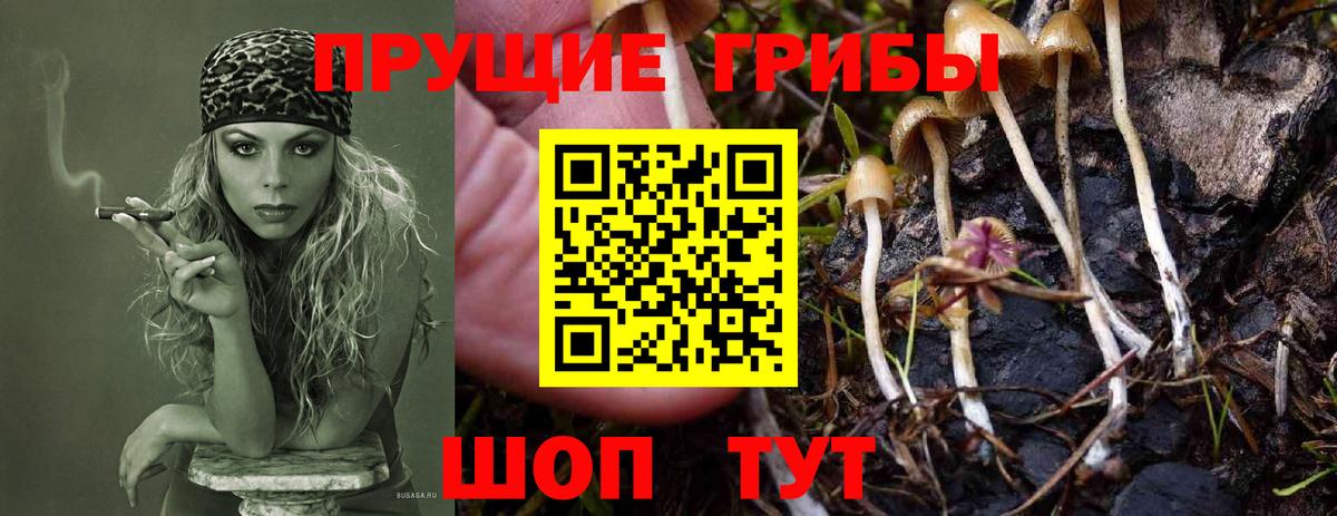 Галлюциногенные грибы Magic Shrooms  цены наркотик  Псилоцибиновые грибы Magic Shrooms  Россия  Вход с VPN 